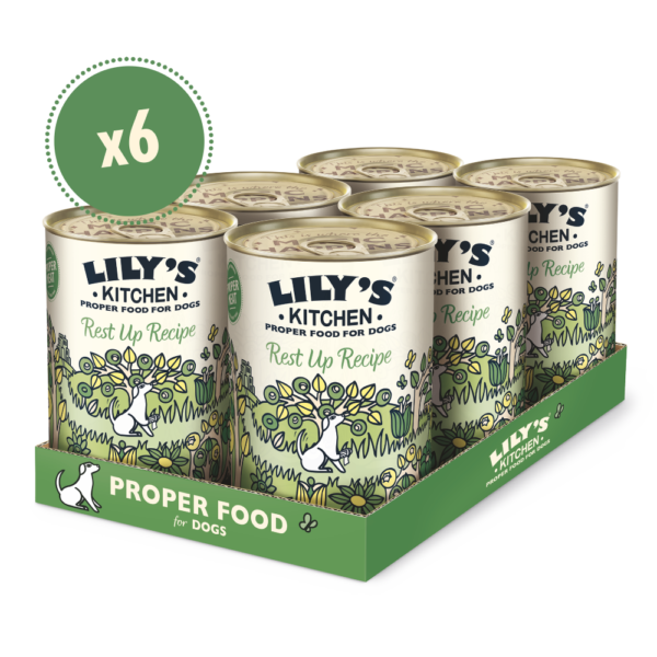 Lily's Kitchen Wet Dog Food Recovery Recipe Sensitive