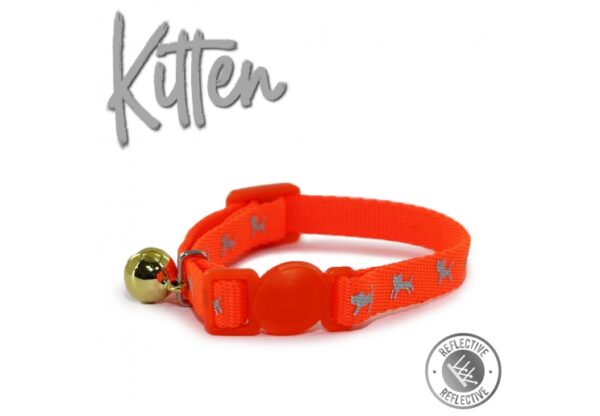 HI-VIS Safety Kitten Collar - Orange