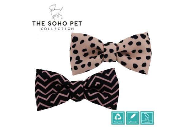 Ancol Dalmatian & Zigzag Patterned Bow Tie Set