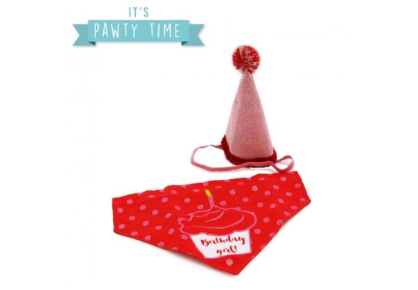 Ancol It's My Birthday Hat & Bandana – Pink