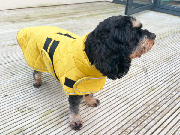 Quilted Classic Dog Coat in Mustard