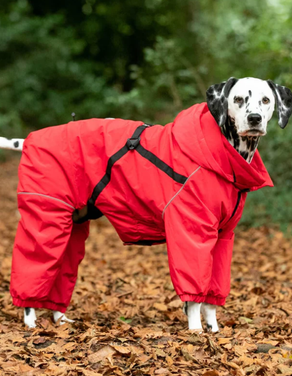 Hugo & Hudson Red Winter Dog Snowsuit